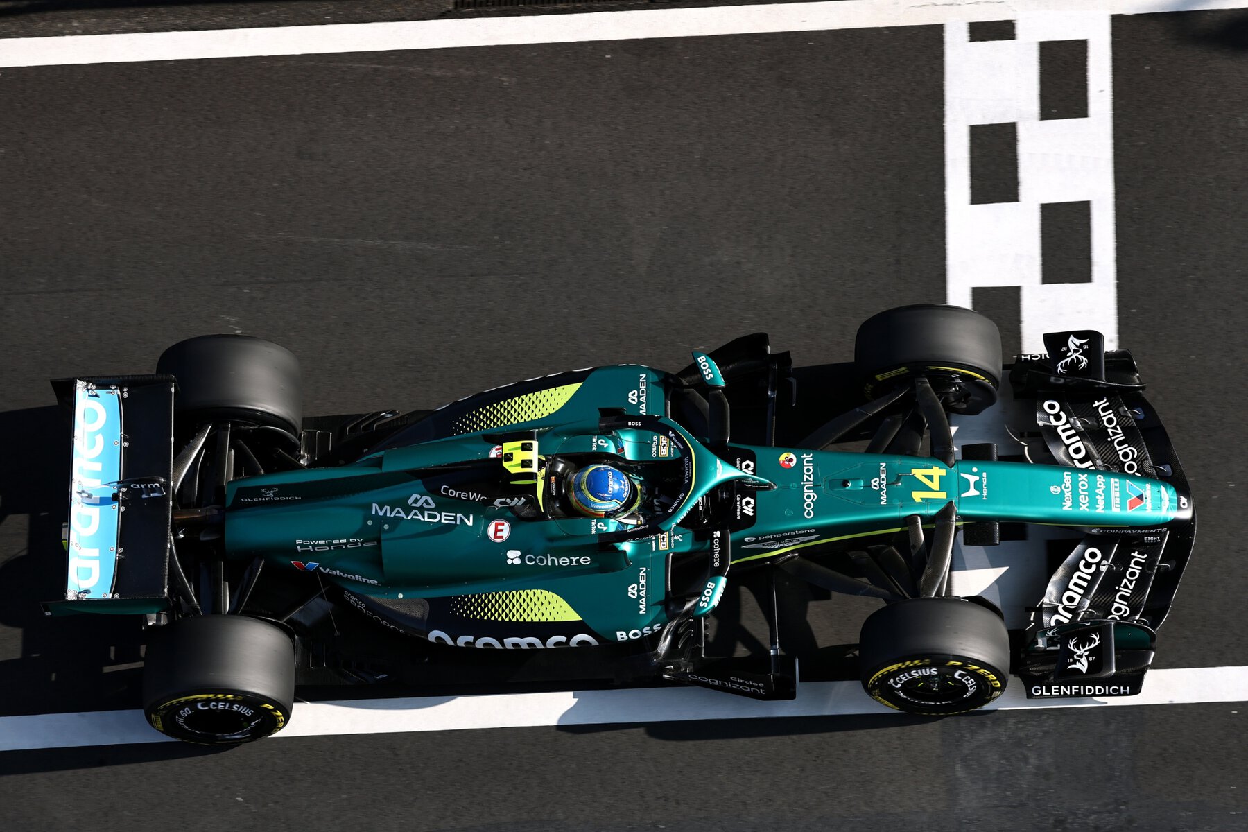 fernando alonso